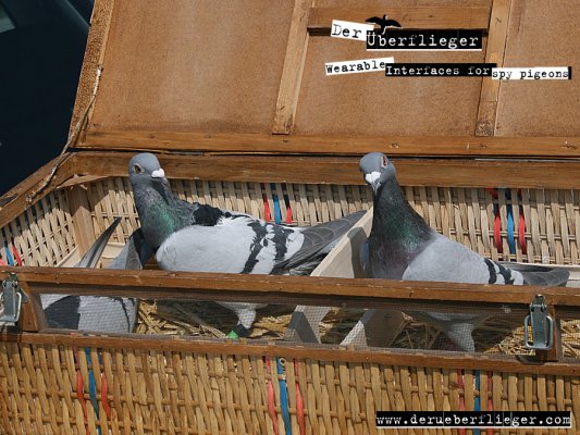 derueberflieger